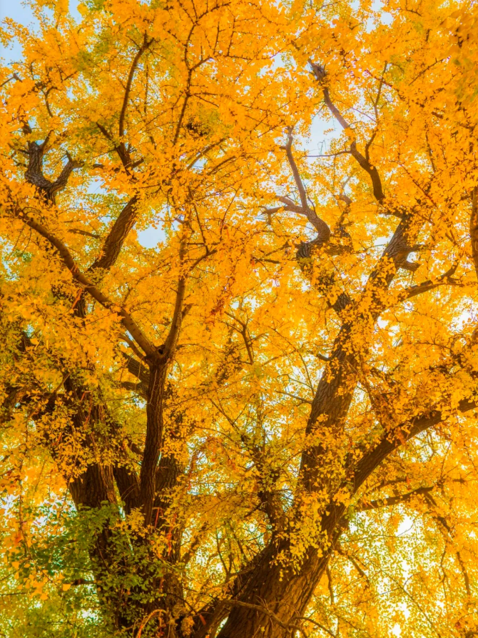 04c3c67772dd64bcf15c344133fd8dbcpng