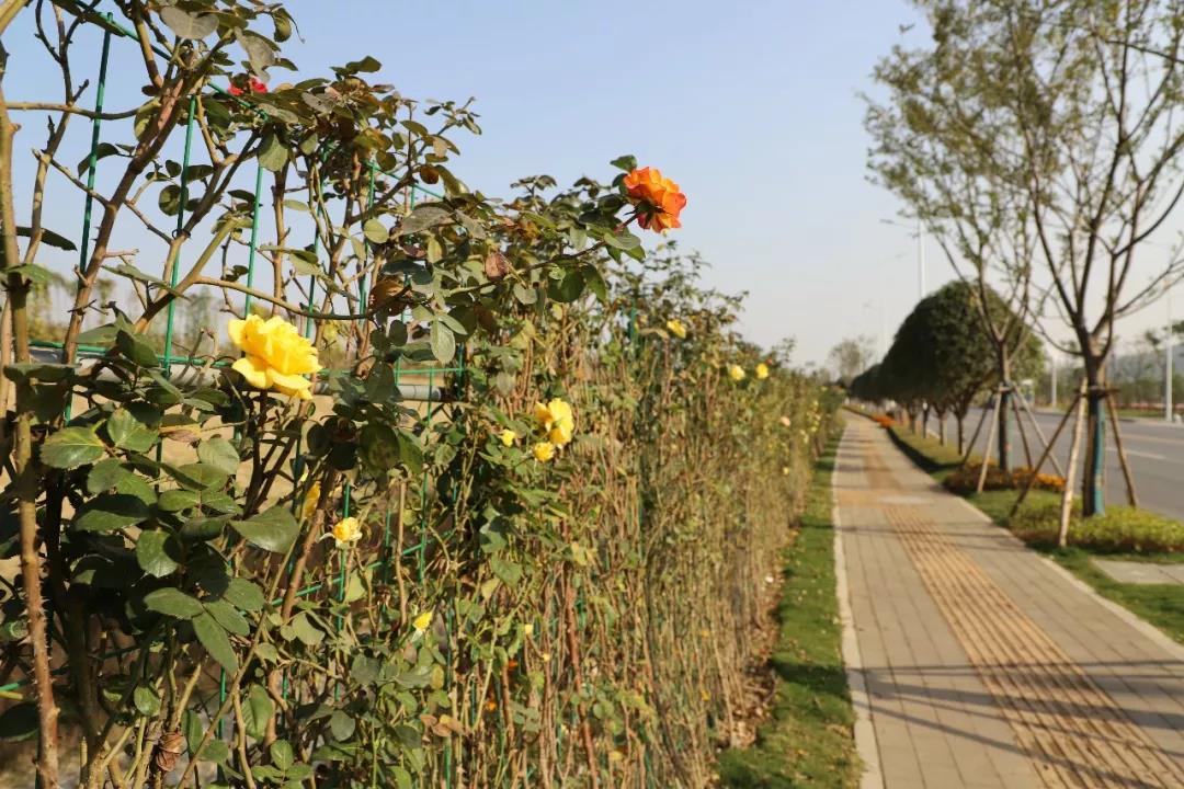 微信图片_20200713201440 微信图片_20200713201440.jpg