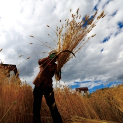 pagenumber_ebook=44,pagenumber_book=32