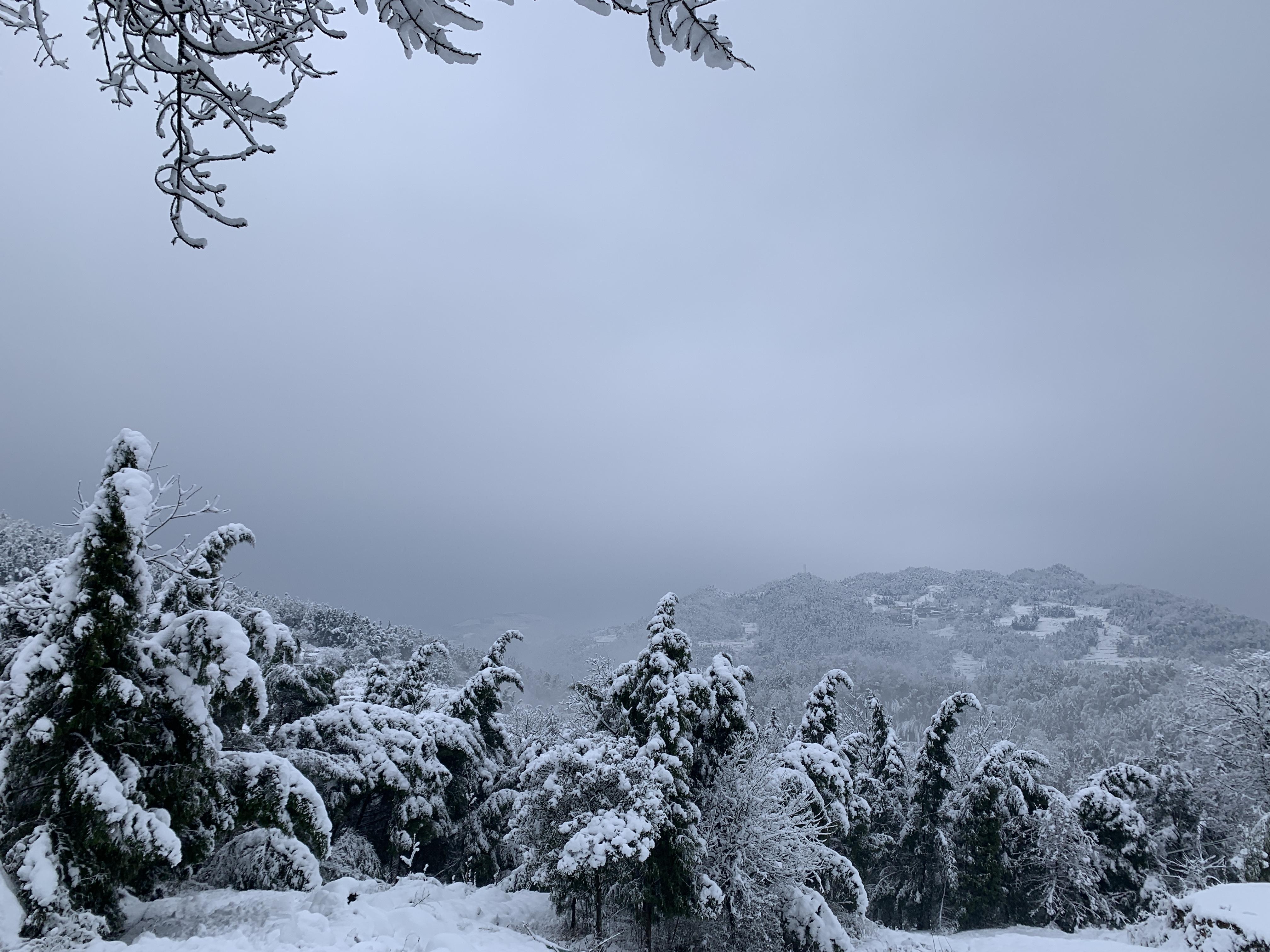 wps_doc_5 wps_doc_5.jpeg