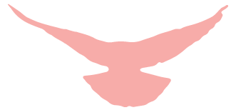 0005