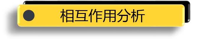 相互作用分析.png