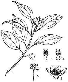 pagenumber_ebook=86,pagenumber_book=86