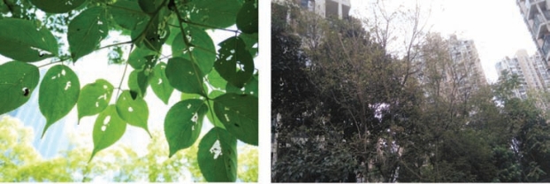 pagenumber_ebook=48,pagenumber_book=40