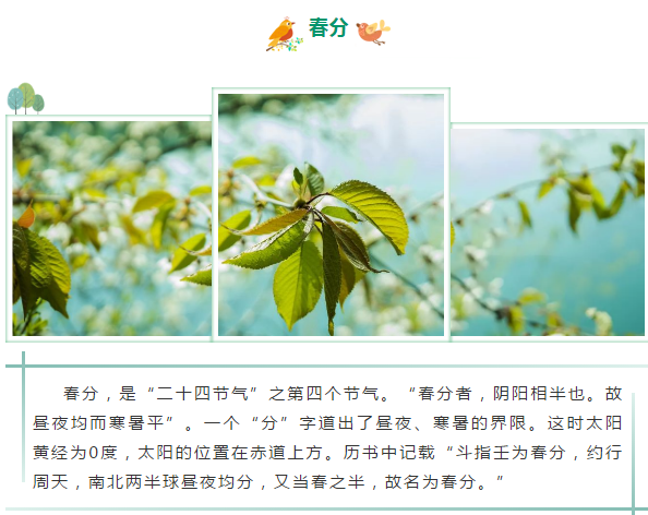 image image.png?v=1784605719266