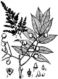 pagenumber_ebook=105,pagenumber_book=105