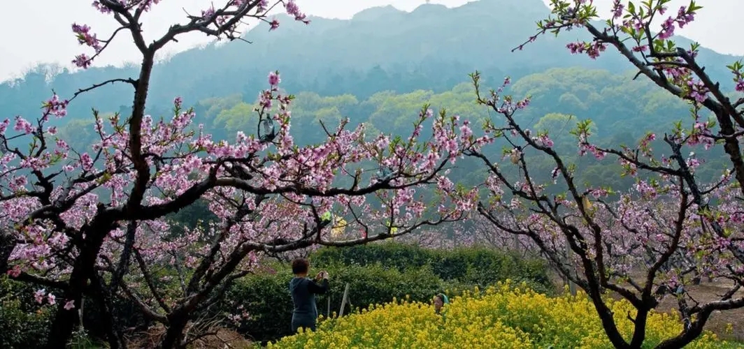 u=3615306516,1945000918&fm=253&fmt=auto&app=138&f=JPEG.webp u=3615306516,1945000918&fm=253&fmt=auto&app=138&f=JPEG.webp.jpg