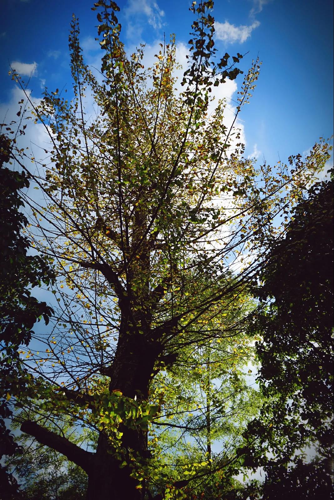 微信图片_20201124234050