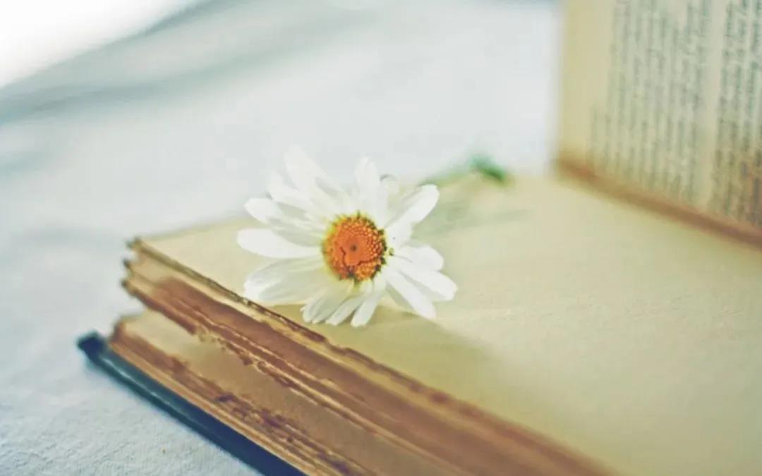 连江县图书馆庆元旦民俗知识竞答活动