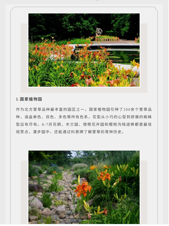 image.png?v=1766280841991