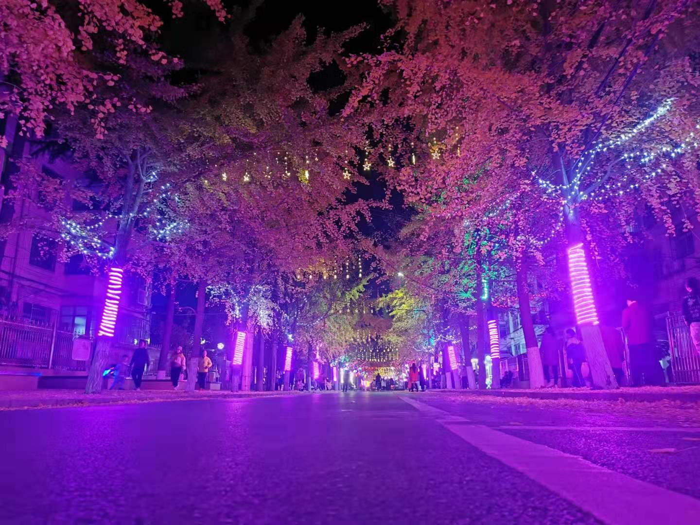 微信图片_20201214202610