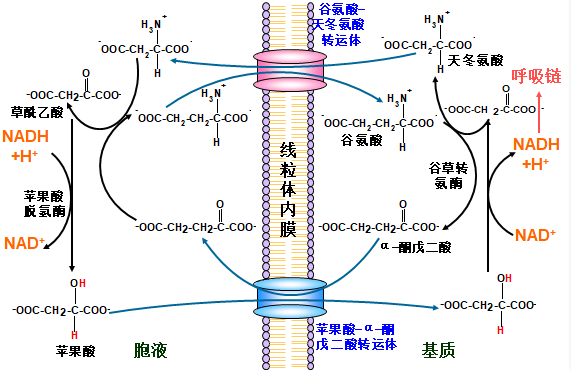 QQ图片20190325091043.png