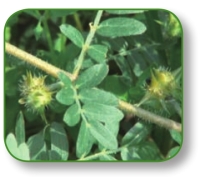 pagenumber_ebook=237,pagenumber_book=224