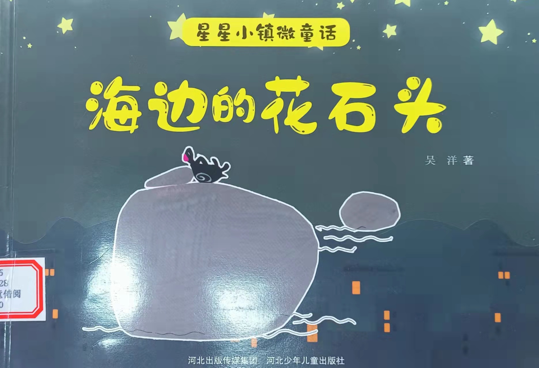 台德菊  海边的花石头