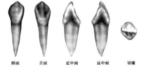 pagenumber_ebook=29,pagenumber_book=20