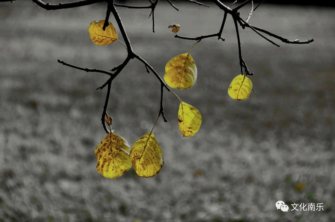 decc744c97001148fbe3fa02accc1dd1 decc744c97001148fbe3fa02accc1dd1.jpg