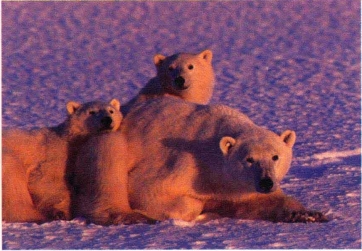 pagenumber_ebook=210,pagenumber_book=201