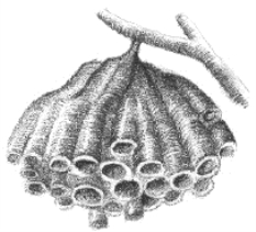 pagenumber_ebook=26,pagenumber_book=10