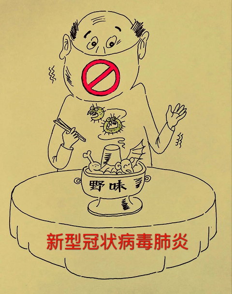image image.png?v=1784605854987