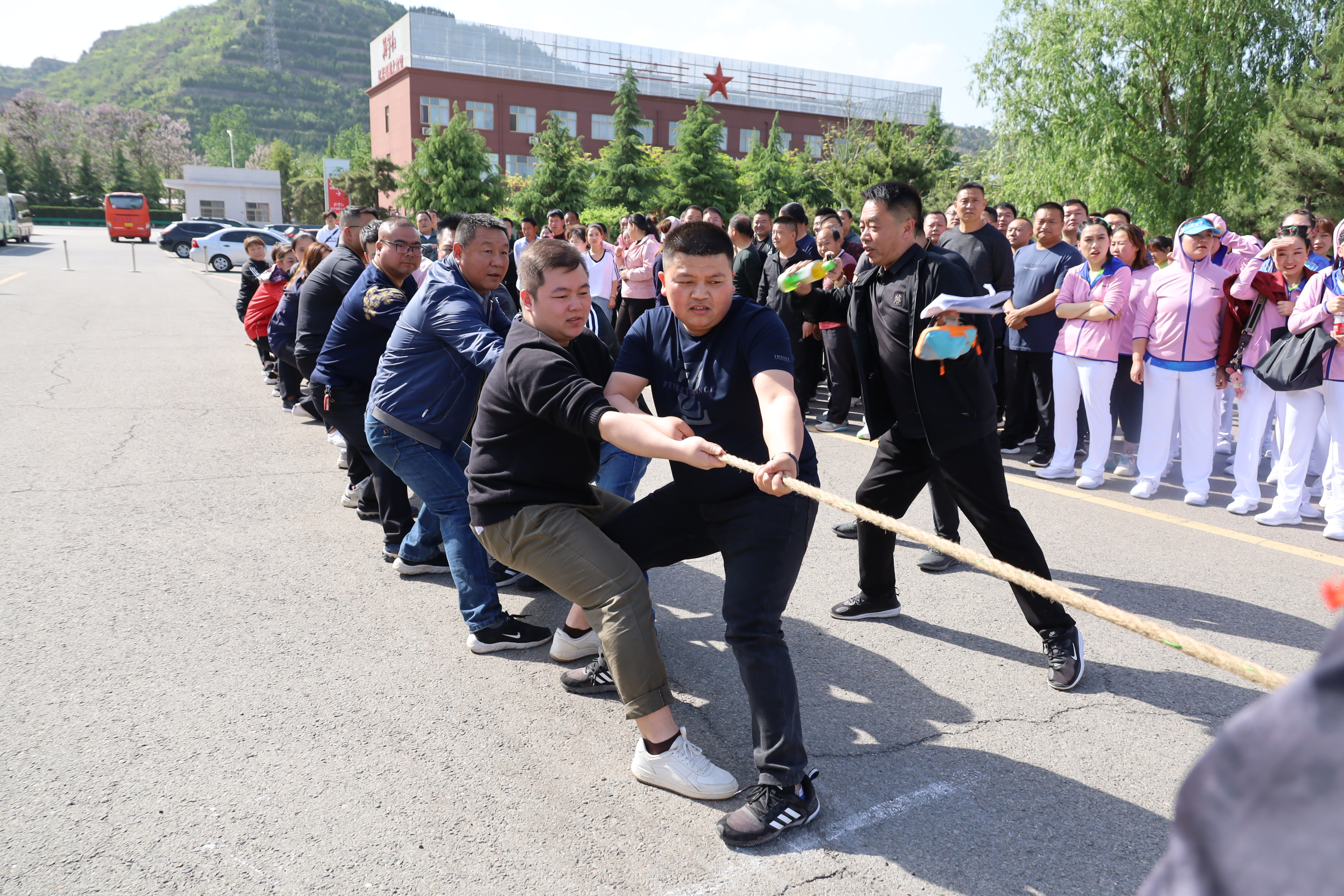 IMG_4511 IMG_4511.jpg