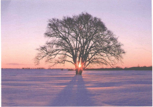 pagenumber_ebook=32,pagenumber_book=24