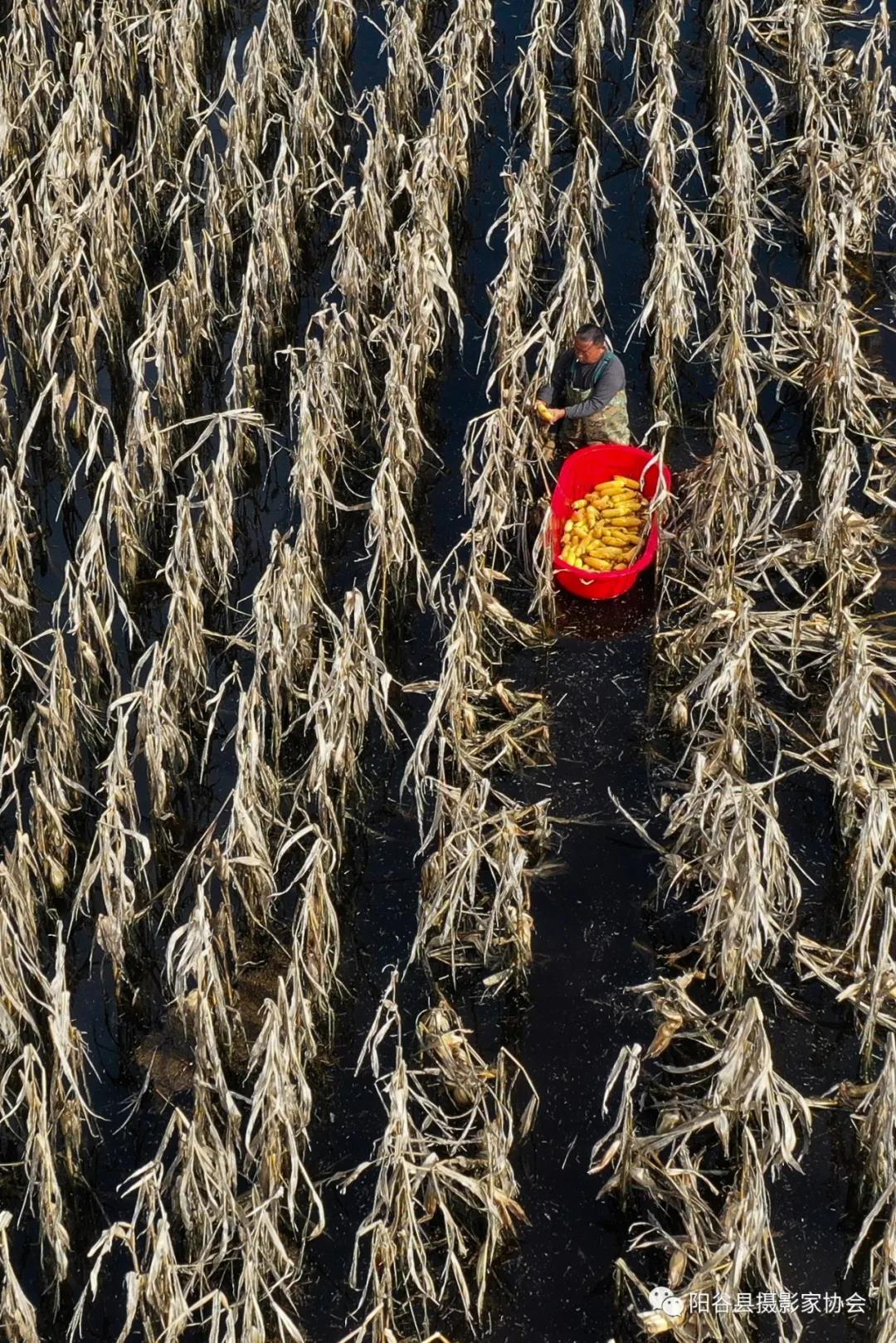 微信图片_20211222111346