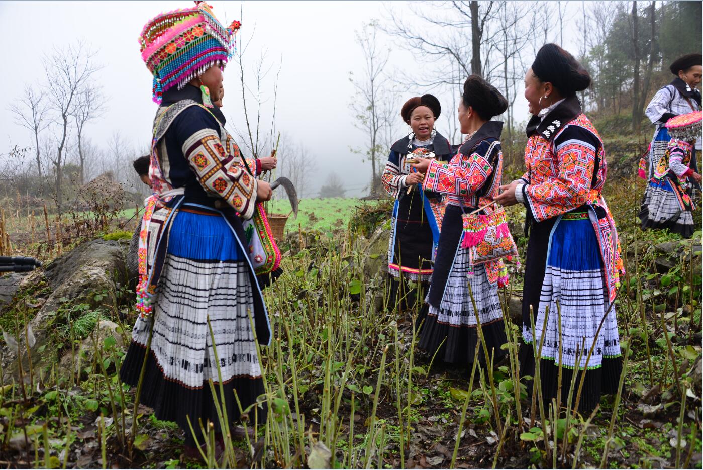 17.2.1 17.2.1.jpg?v=1762780652822