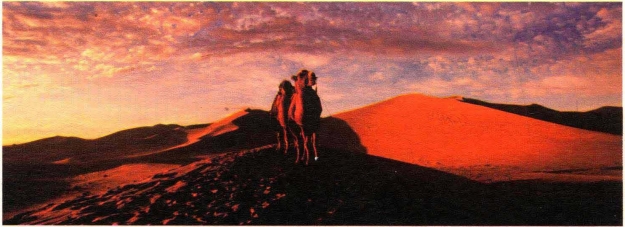 pagenumber_ebook=181,pagenumber_book=172