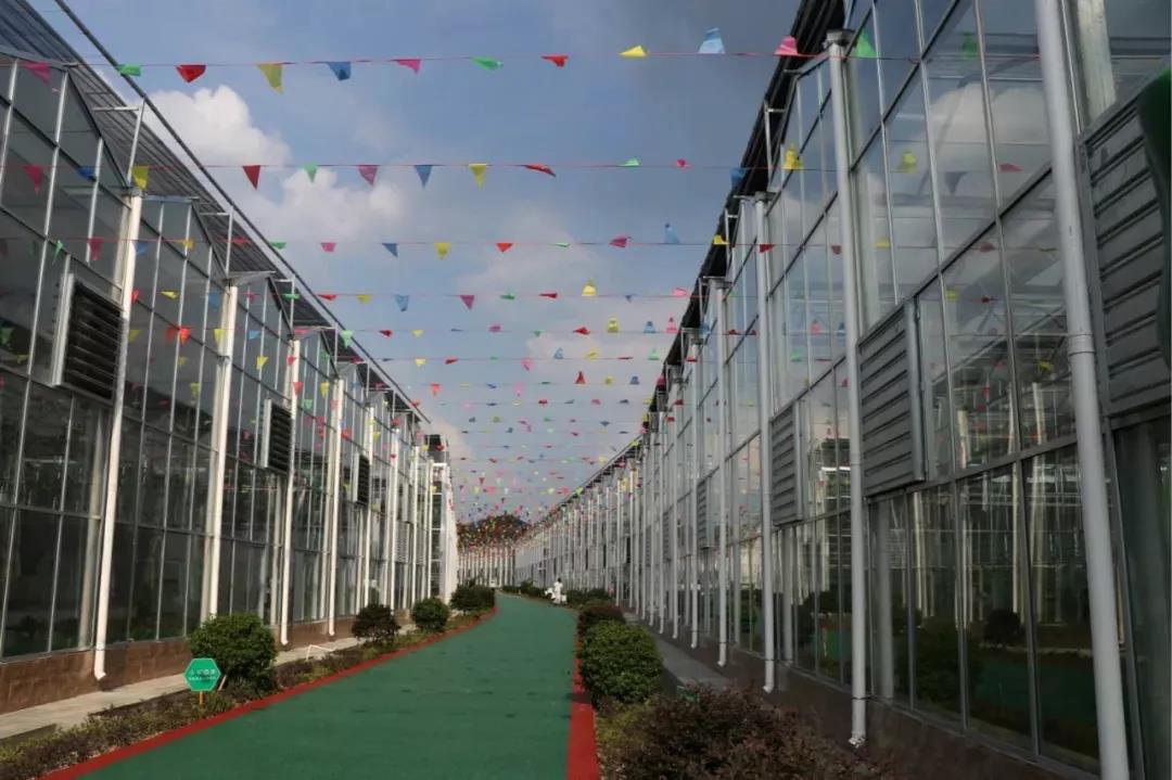 微信图片_20200712020412 微信图片_20200712020412.jpg