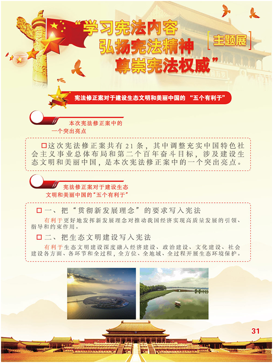 image image.png?v=1762213787587