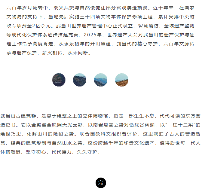 image.png?v=1788858040503