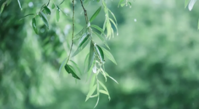 image image.png?v=1784605719266