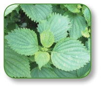 pagenumber_ebook=16,pagenumber_book=3