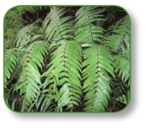 pagenumber_ebook=104,pagenumber_book=91