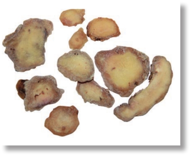 pagenumber_ebook=199,pagenumber_book=186