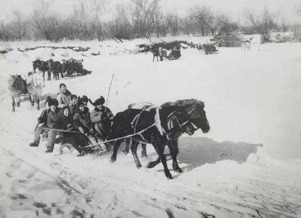 垦荒队员们来啦 垦荒队员们来啦.jpg