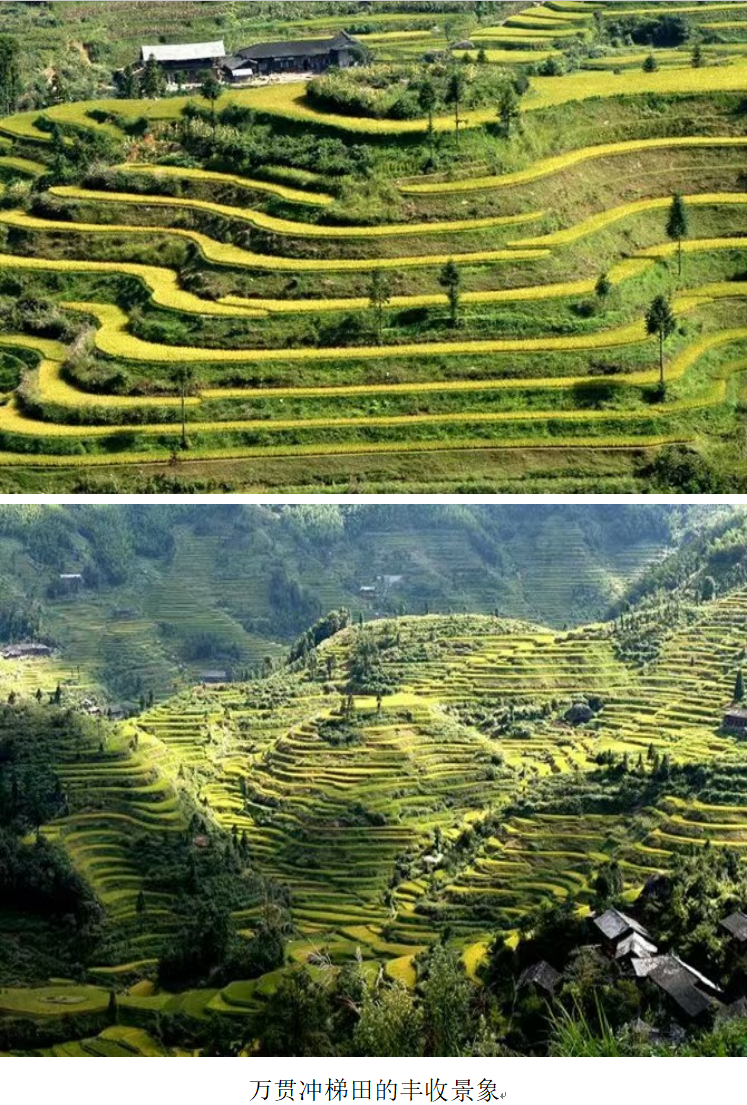 1732261756209 1732261756209.png