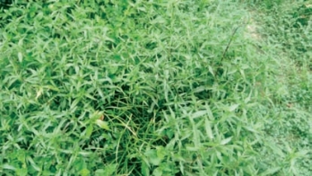 pagenumber_ebook=156,pagenumber_book=148