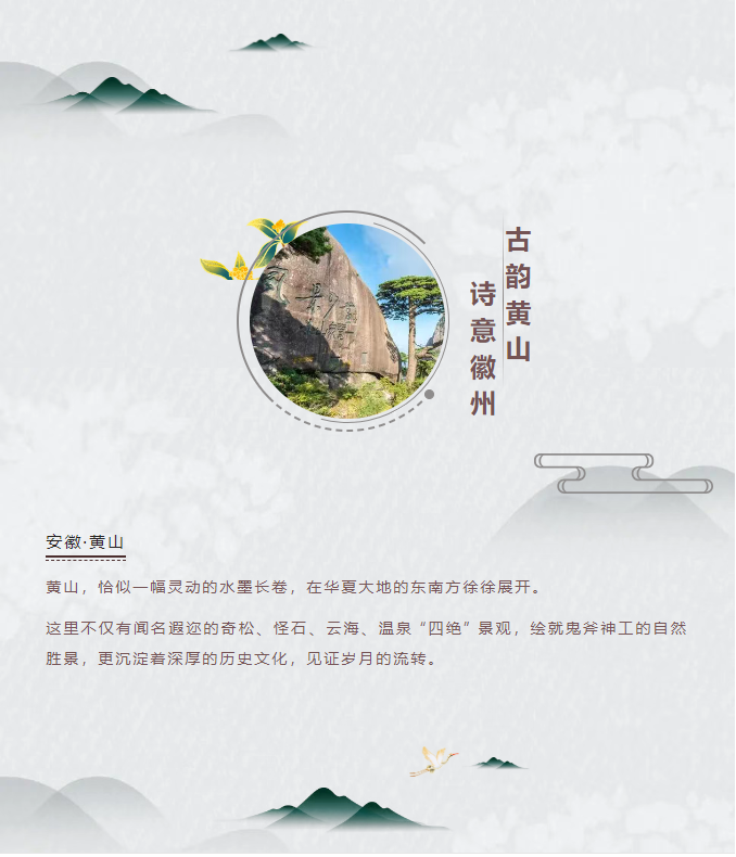image.png?v=1751556744006