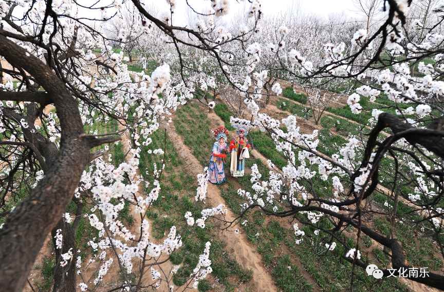 9adecaa8b3125a9fd41f1b44ac6b30ff 9adecaa8b3125a9fd41f1b44ac6b30ff.jpg