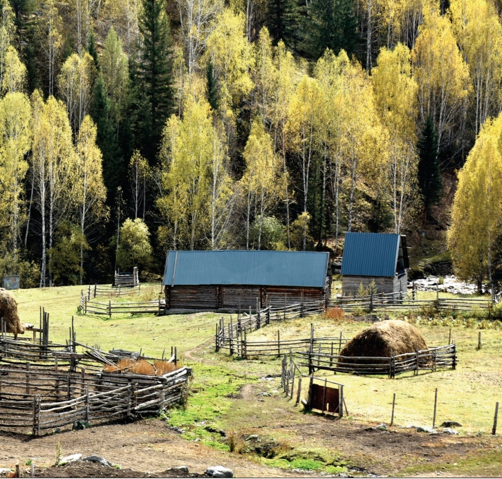 pagenumber_ebook=14,pagenumber_book=3