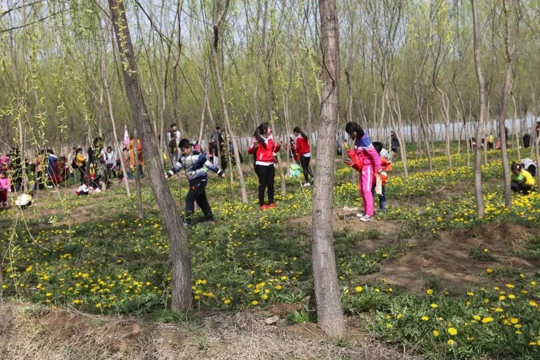 微信图片_20210403181726 微信图片_20210403181726.jpg