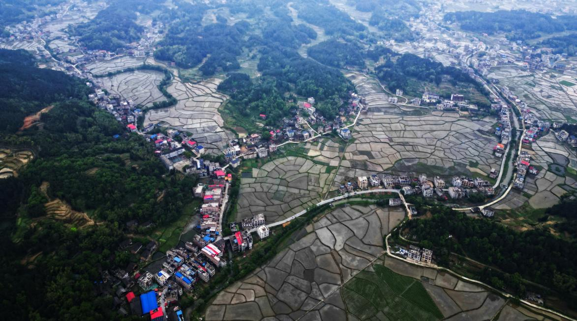 图片 1 图片 1.png