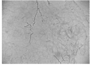 pagenumber_ebook=116,pagenumber_book=109