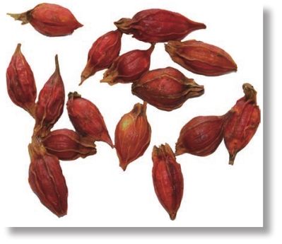 pagenumber_ebook=42,pagenumber_book=29