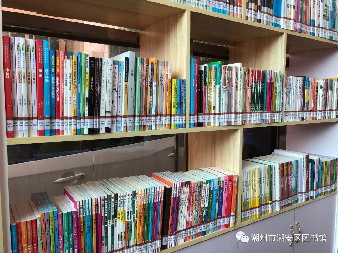 4.webp 4.webp.jpg?v=1762681365873