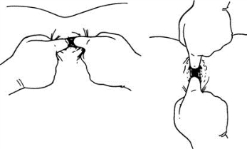 pagenumber_ebook=601,pagenumber_book=586