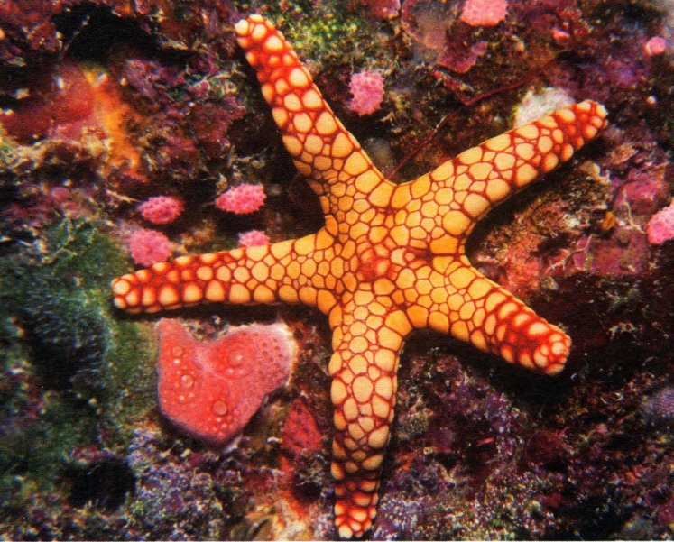 pagenumber_ebook=117,pagenumber_book=108