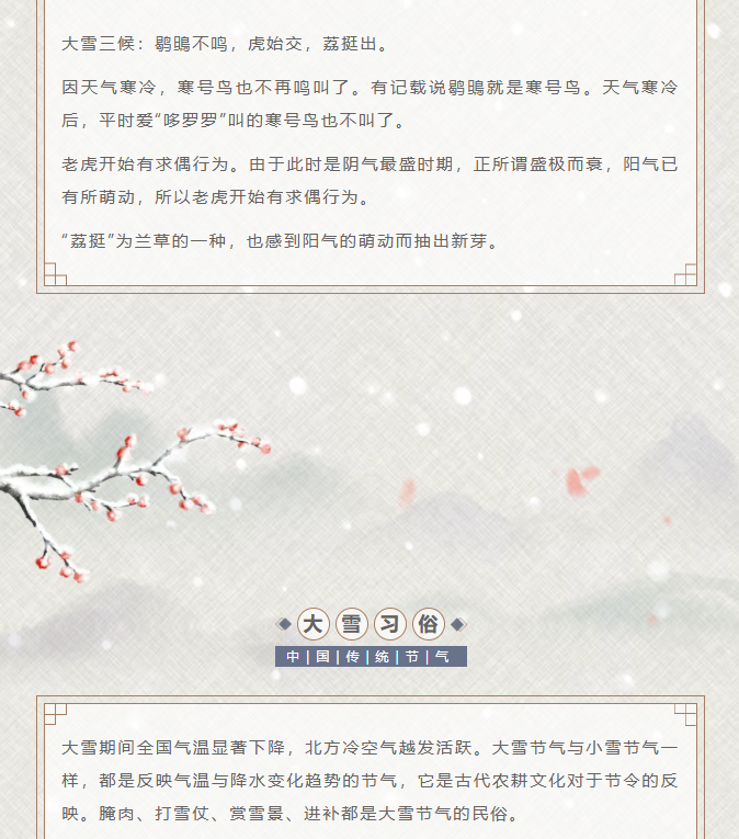 image.png?v=1766232895936