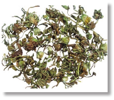 pagenumber_ebook=54,pagenumber_book=41